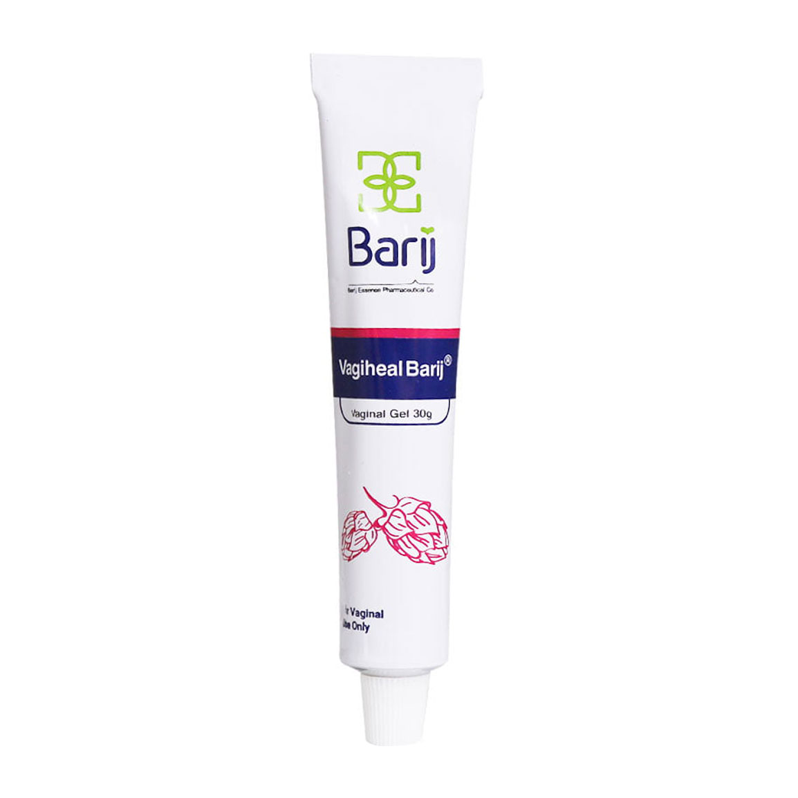 ژل مرطوب کننده واژینال واژیهیل وزن 30 گرم Barij Essence Vagiheal Vaginal Gel 30 g